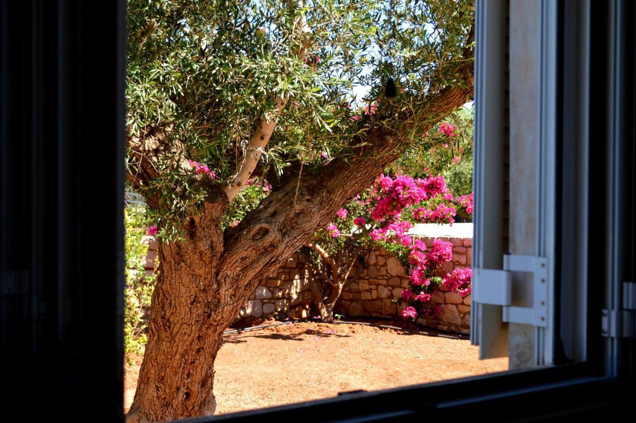 Villa Stamatis Agii Apostoli  ภายนอก รูปภาพ